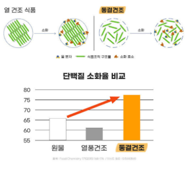 단백질 소화율 비교 그래프